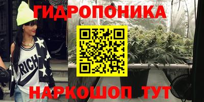 шишки Балаково