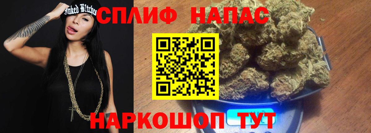 Бошки марихуана конопля Гай